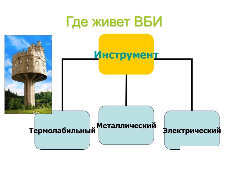 Где живет ВБИ